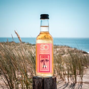 is kombucha a probiotic