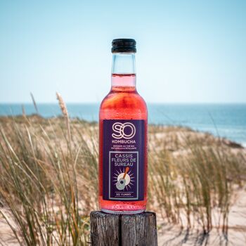 kombucha boisson gazeuse