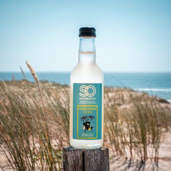 is kombucha good for constipation