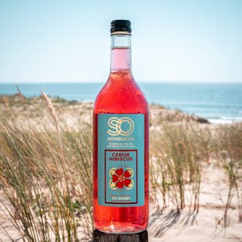 boisson kombucha bienfaits