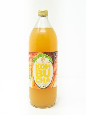 kombucha drink brands