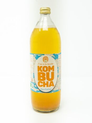 kombucha et colon irritable