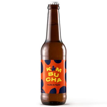 creer souche kombucha