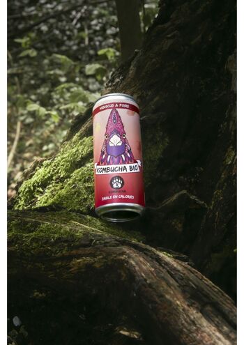 ou trouver le kombucha