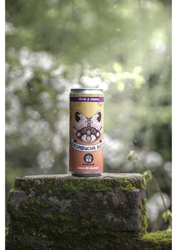 captain kombucha alcool