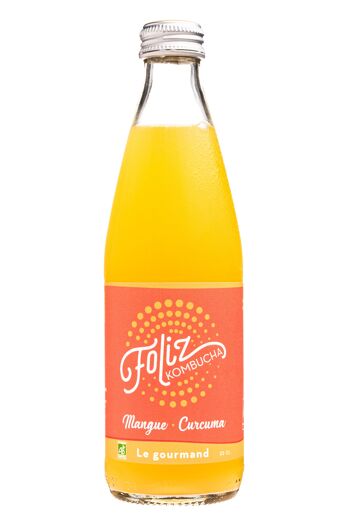 boire du kombucha tous les jours