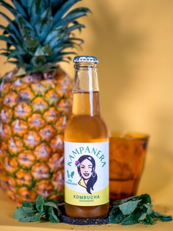 souche kombucha biocoop