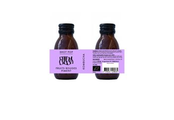 difference kombucha kefir