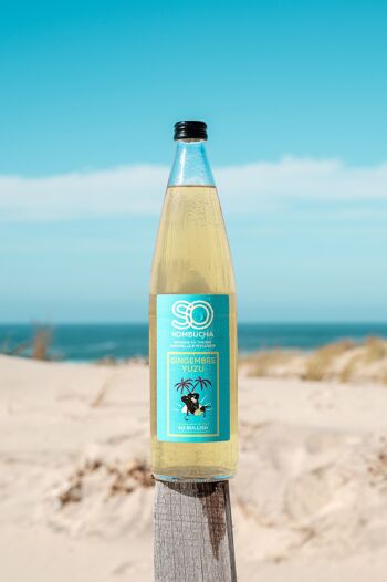 is kombucha good for health