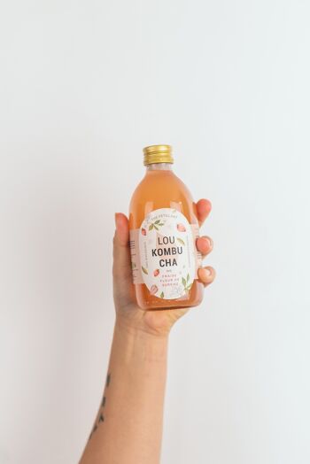 evolution kombucha