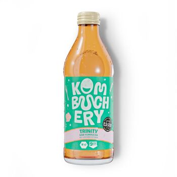 kombucha boisson