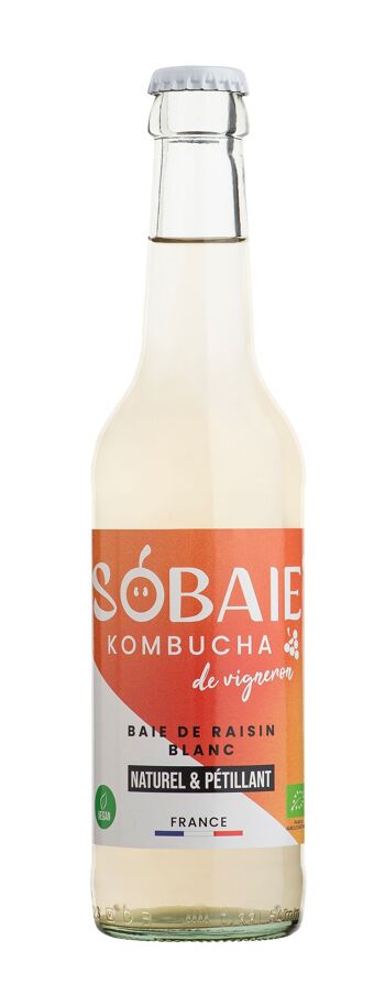 recette kombucha 1 litre