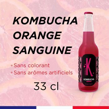 comment faire du kombucha au gingembre