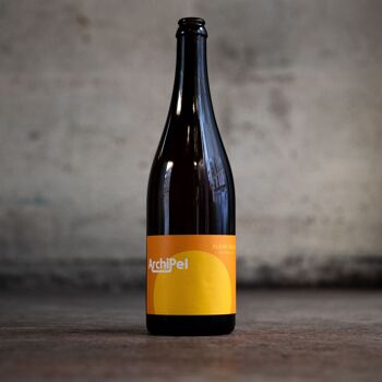 symbiote de kombucha