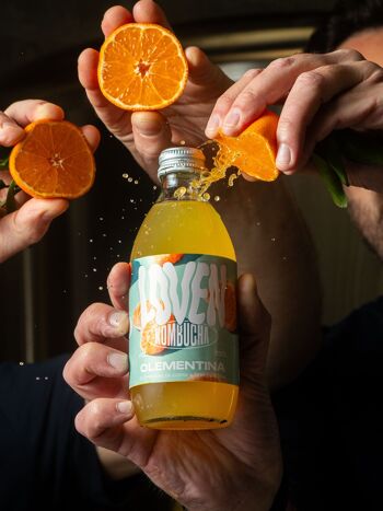 kombucha mere acheter