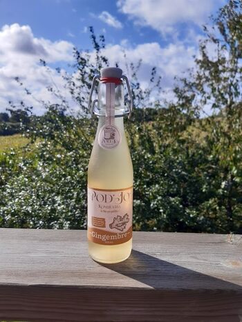 kombucha quand le boire