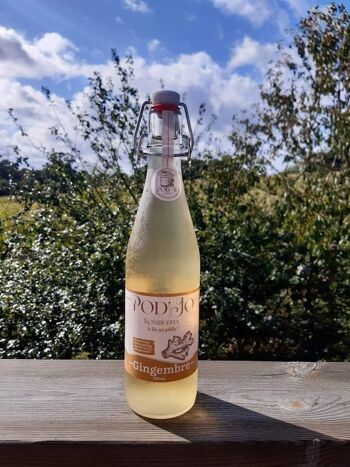 best kombucha starter kit