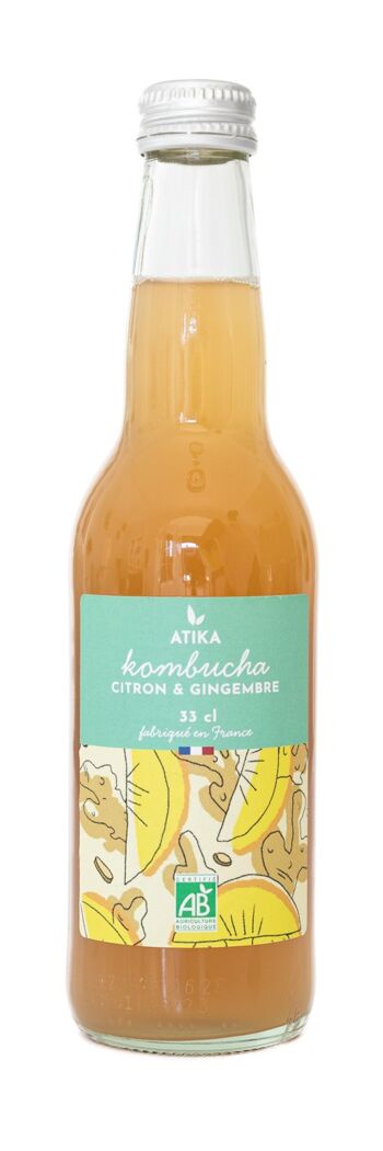 kombucha probiotique