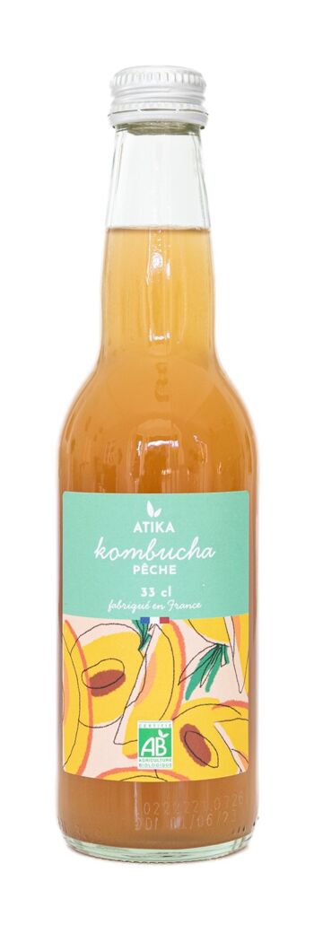 rise kombucha france