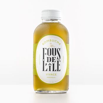 brittany broski kombucha meme