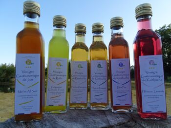 karma kombucha gingembre avis