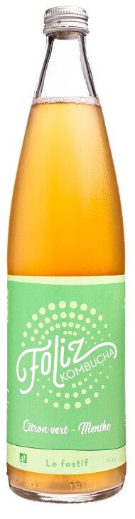 berry kombucha