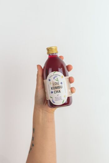 kombucha témoignages