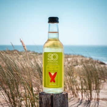 kombucha biocoop prix
