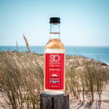 recette kombucha maison