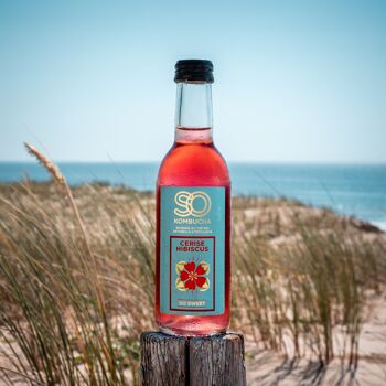kombucha et cancer