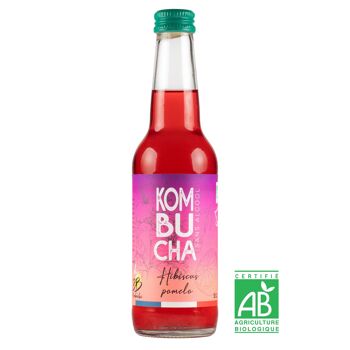 kéfir et kombucha