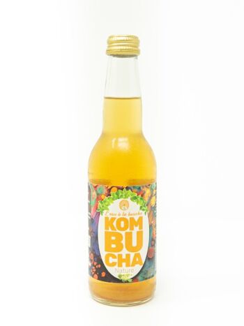 kombucha erquy