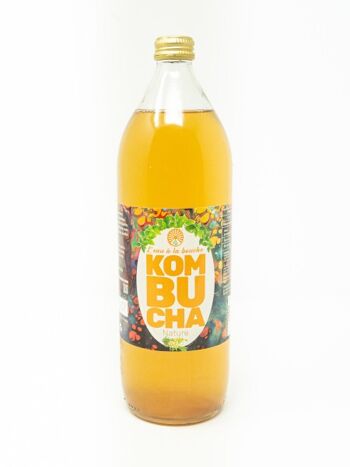 kombucha essence