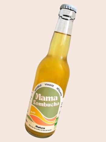 bien fait du kombucha