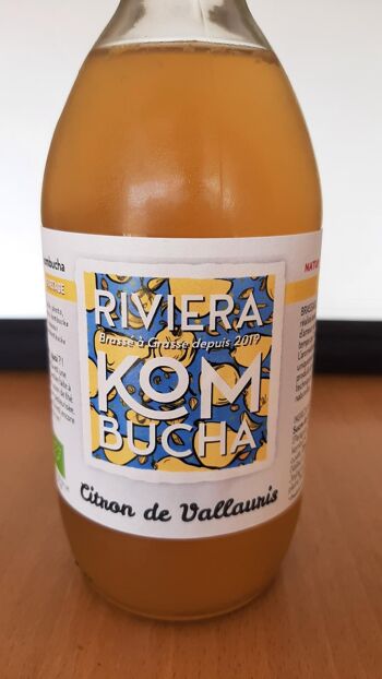 kombucha vertus