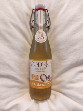 kombucha benefits