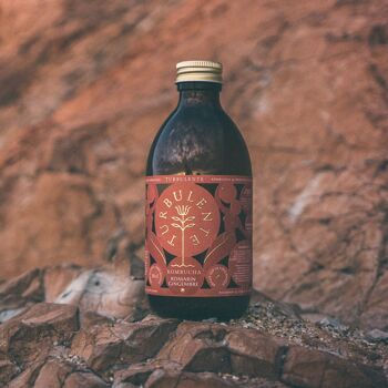 kombucha c est quoi