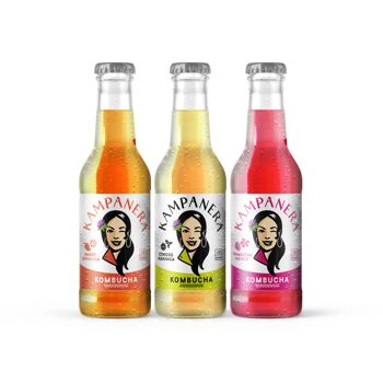 como fazer kombucha