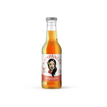 continuous brew kombucha