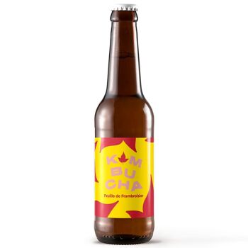 f2 kombucha