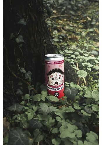 does kombucha have caffeine