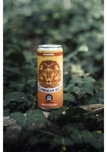 kombucha santé canada