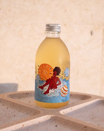 souche kombucha