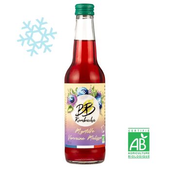 les bienfaits du kombucha