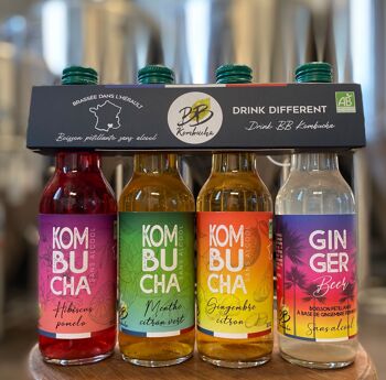 kombucha the vert