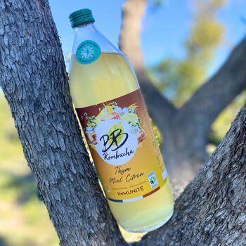 kombucha sans sucre