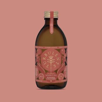 recette kombucha