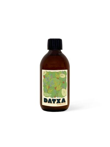 kit kombucha