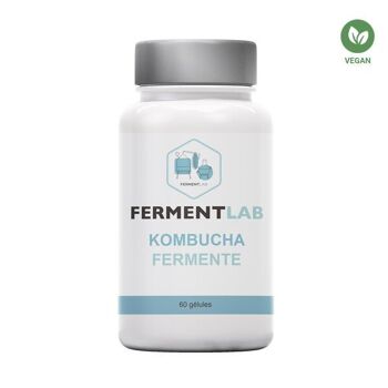 kombucha digestion