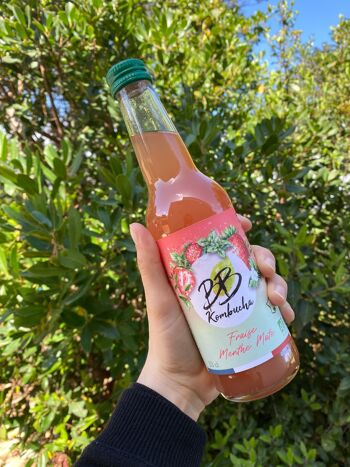 221 bc kombucha